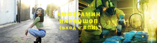 ECSTASY Алзамай