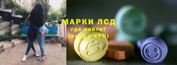 ECSTASY Алзамай