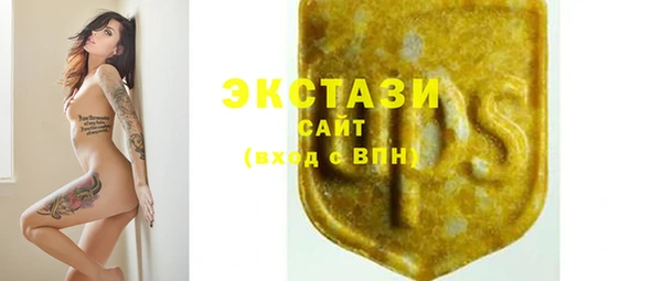 ECSTASY Алзамай