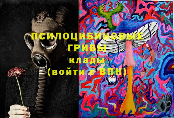 героин Алексин