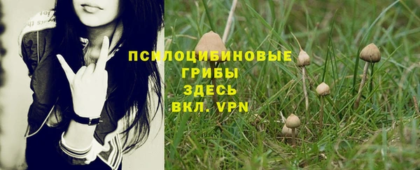 ECSTASY Алзамай