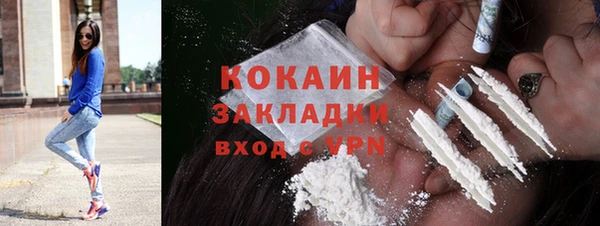 ECSTASY Алзамай