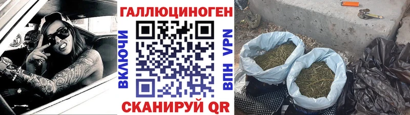 как найти закладки Москва Галлюциногенные грибы Psilocybine cubensis